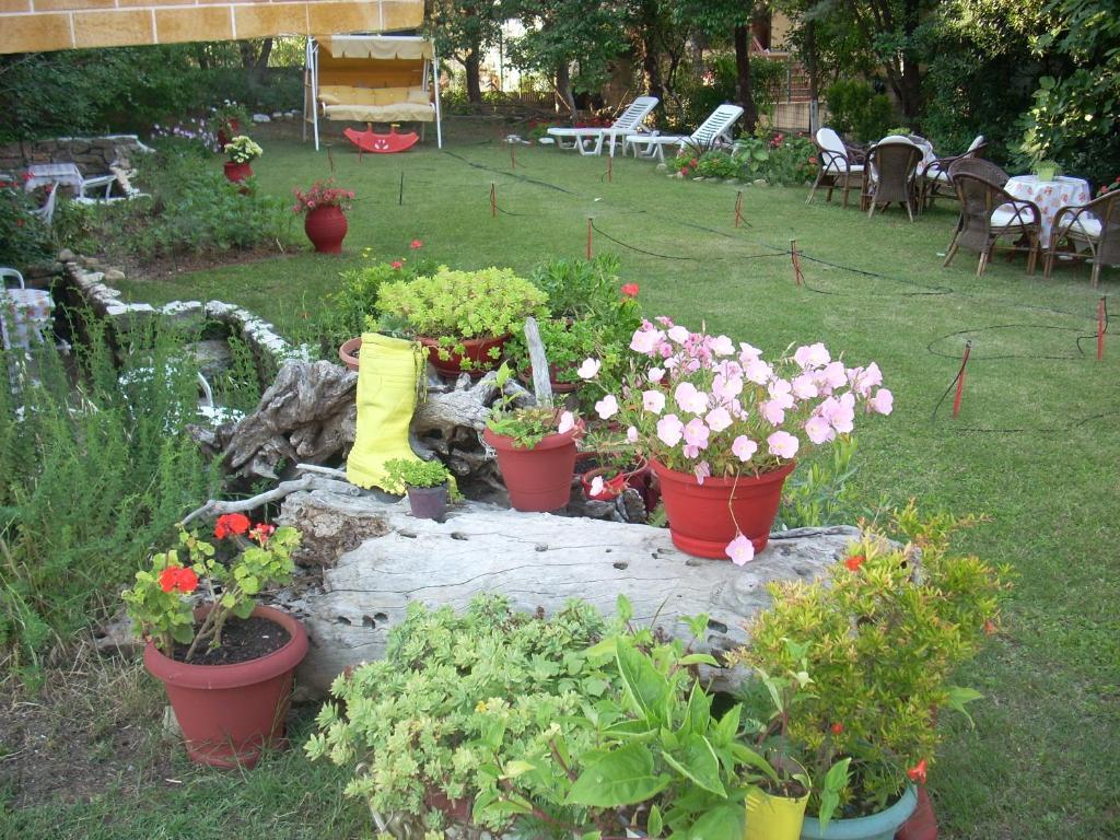 Panorama *