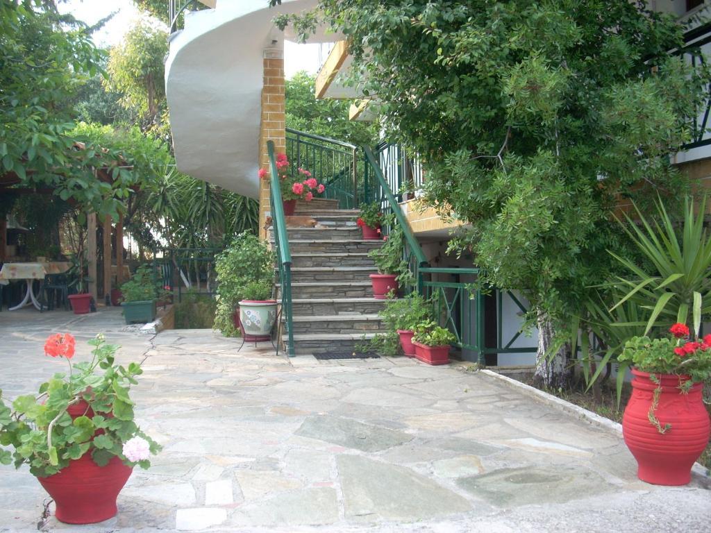 Panorama Apartment *