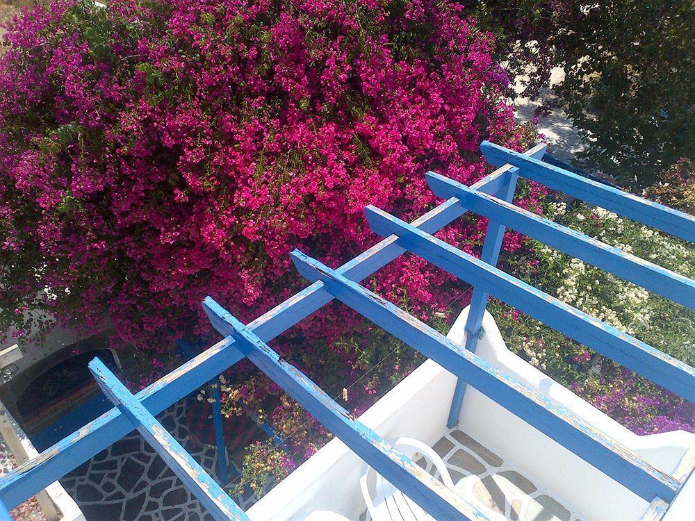 Aparthotel Pelagos Parikia (Paros)