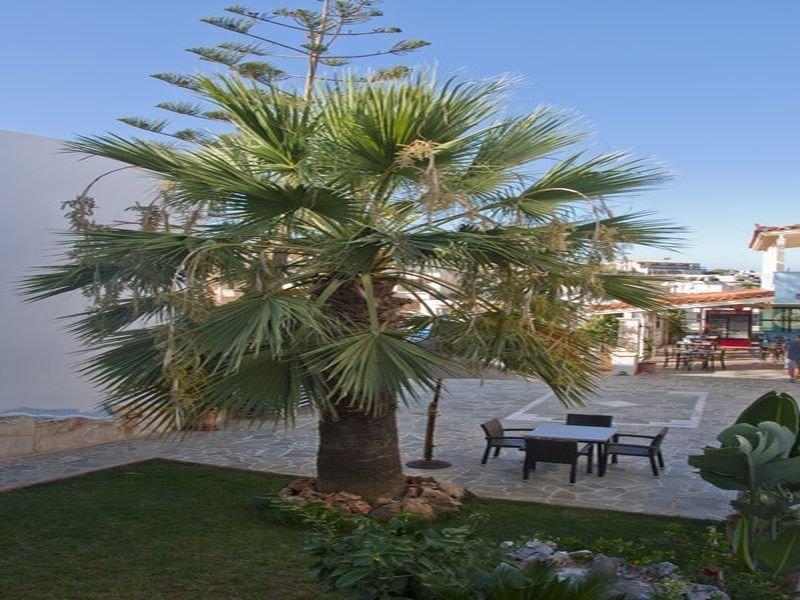 Belvedere Village