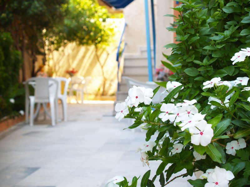 Michele Marie Agia Pelagia (Crete)