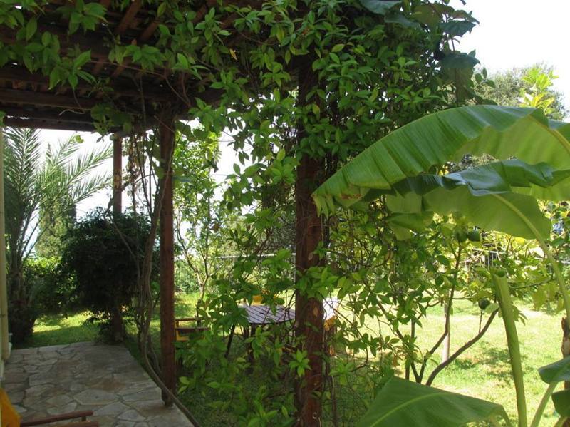 Milos Lourdata (Kefalonia)