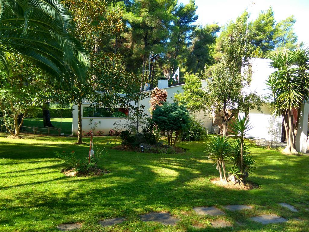 Sani Maria Sani (Chalkidiki)