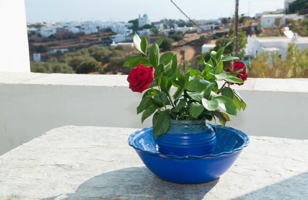 Guest house Letta