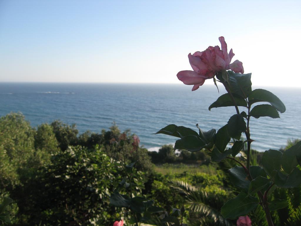 Areti Apartment Paramonas (Corfu)