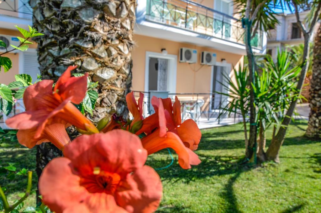Olive Grove Apts Apartment Lithakia (Zakynthos)