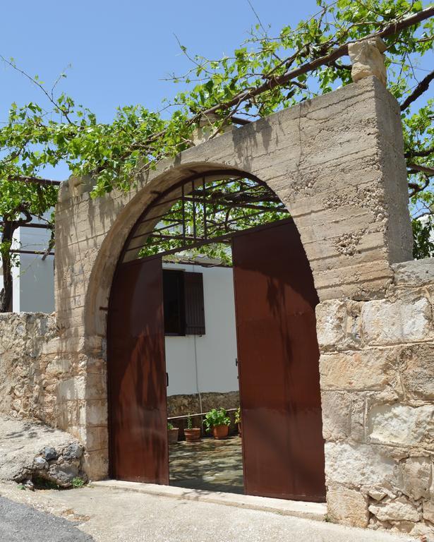 Traditional Kapare * Kokkino Chorio