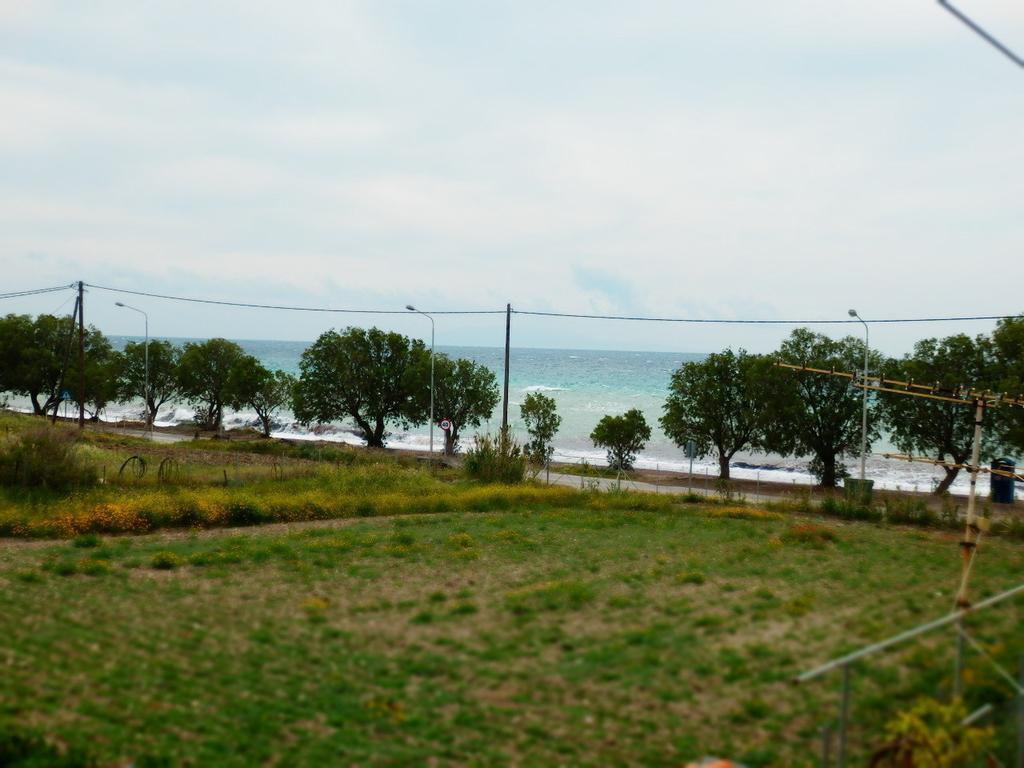 Ta Kalamakia