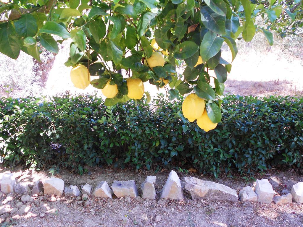 Aparthotel Anemona Paleokastritsa