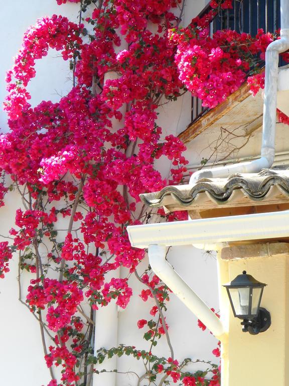 Anemona Aparthotel *