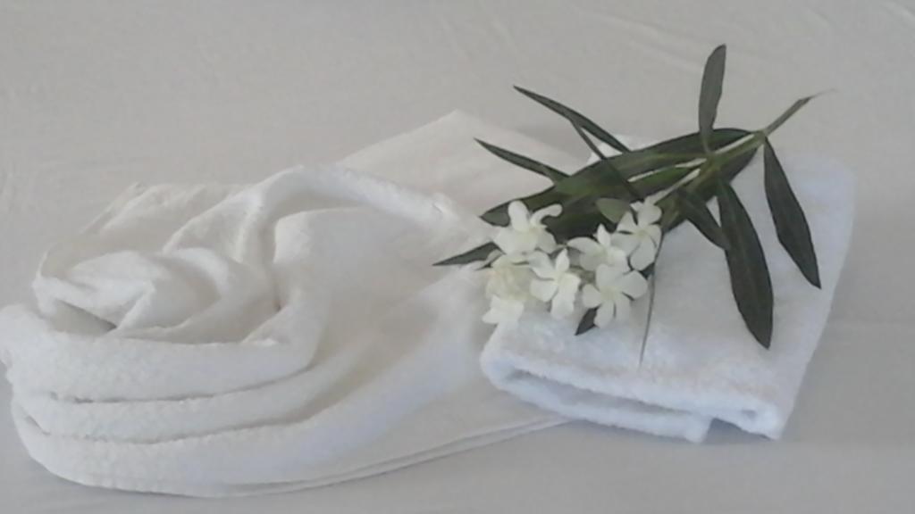 O Fotis Aparthotel *