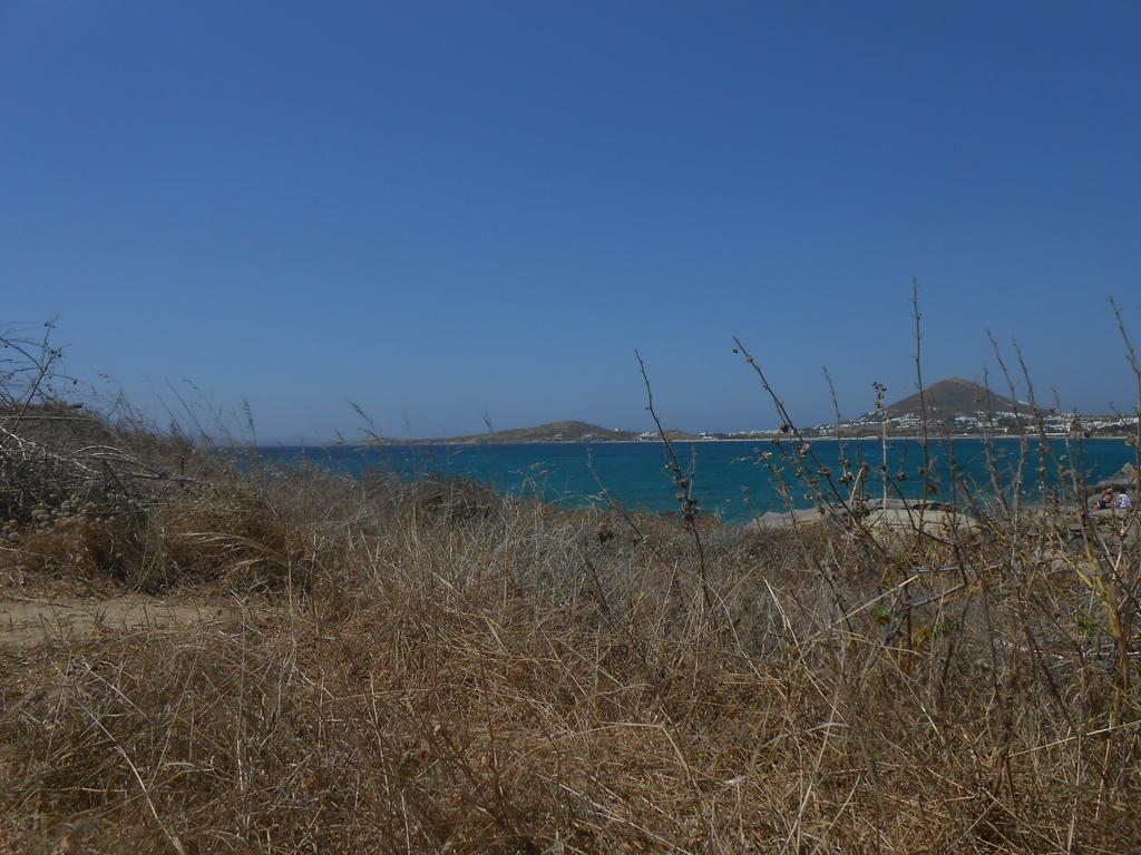 O Fotis