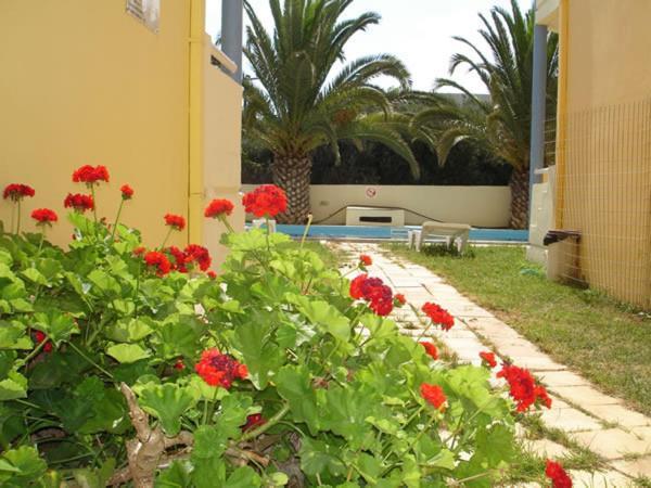 Zotis Aparthotel Kalamaki (Chania)