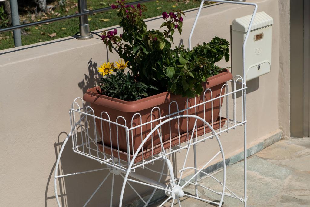 Studio Nikos Aparthotel Pythagoreio (Samos)