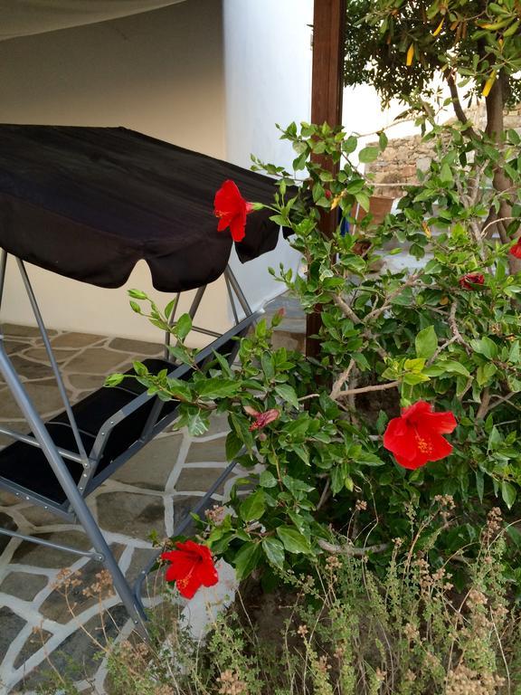 Traditional Villa Ftelia (Mykonos)