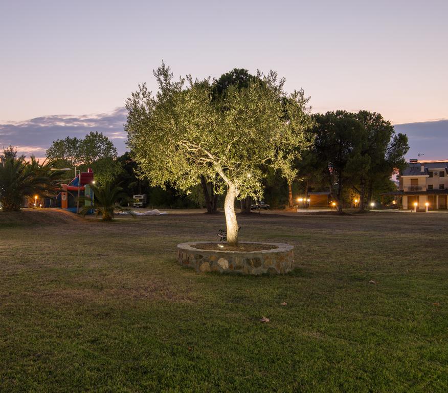 Top Studios Guest house