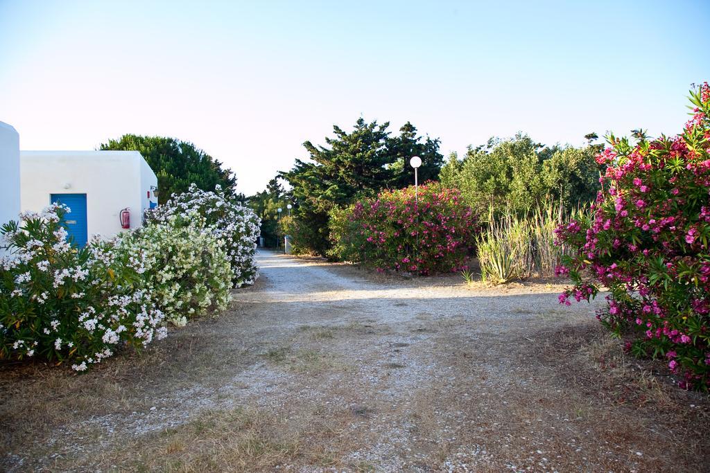 Aparthotel Prasino Oniro Tinos