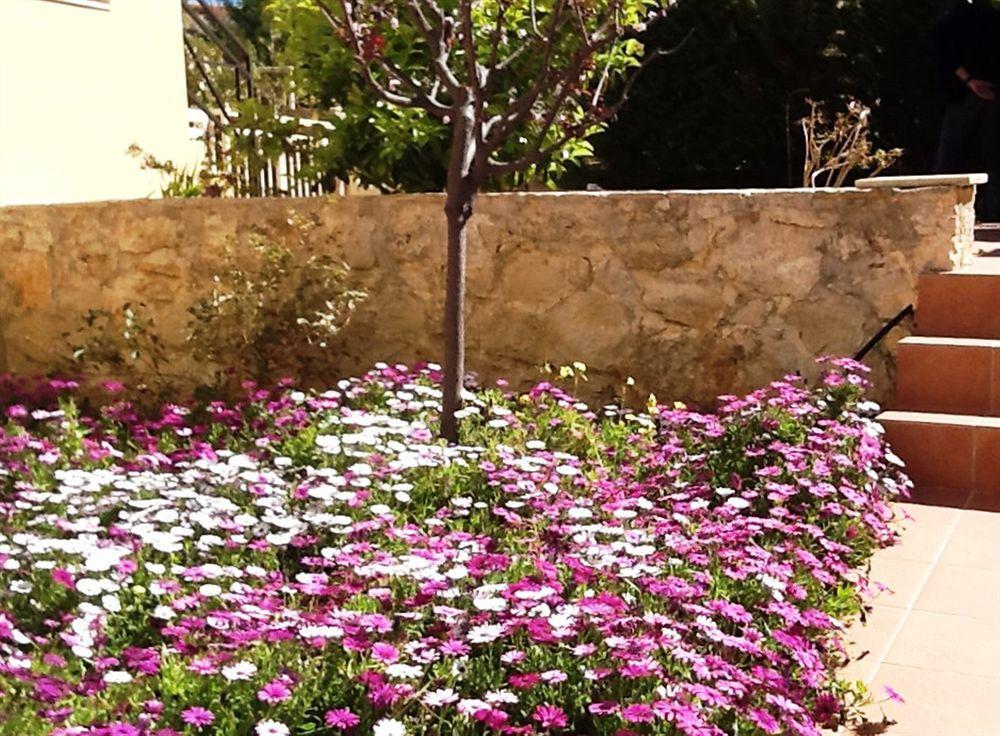 Helidonia Villas * Pigi (Crete)