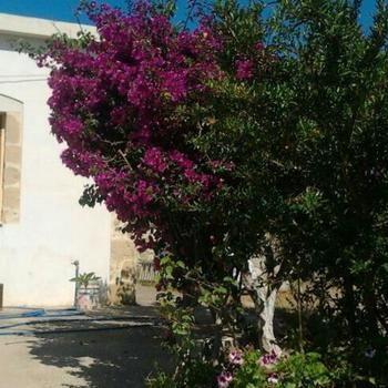 Holiday home Falasarna Lardas House Gramvousa