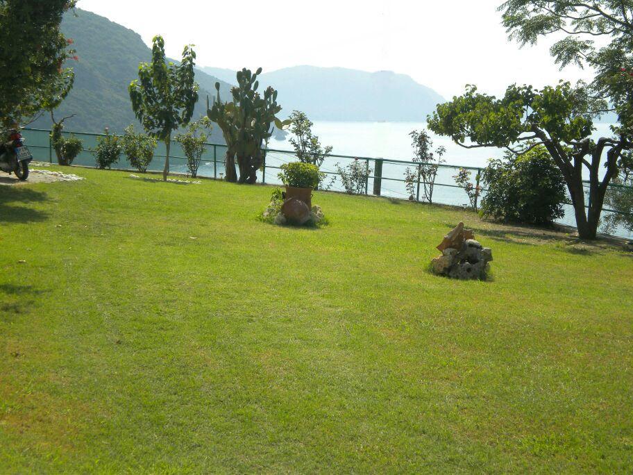 Apartment Theasea