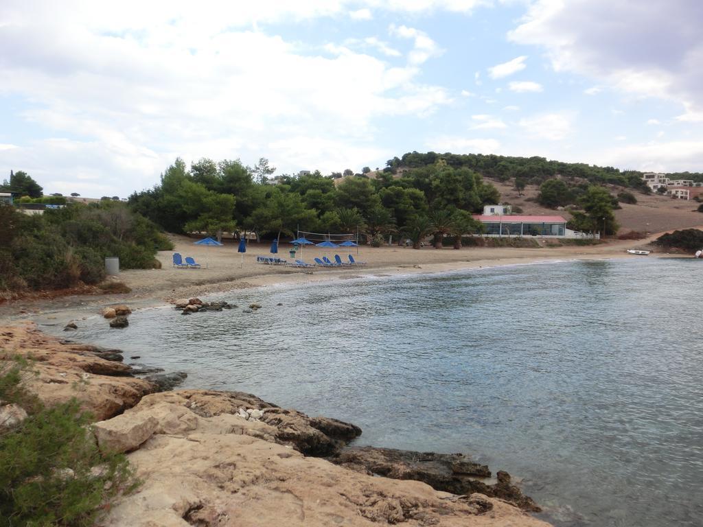 Koka