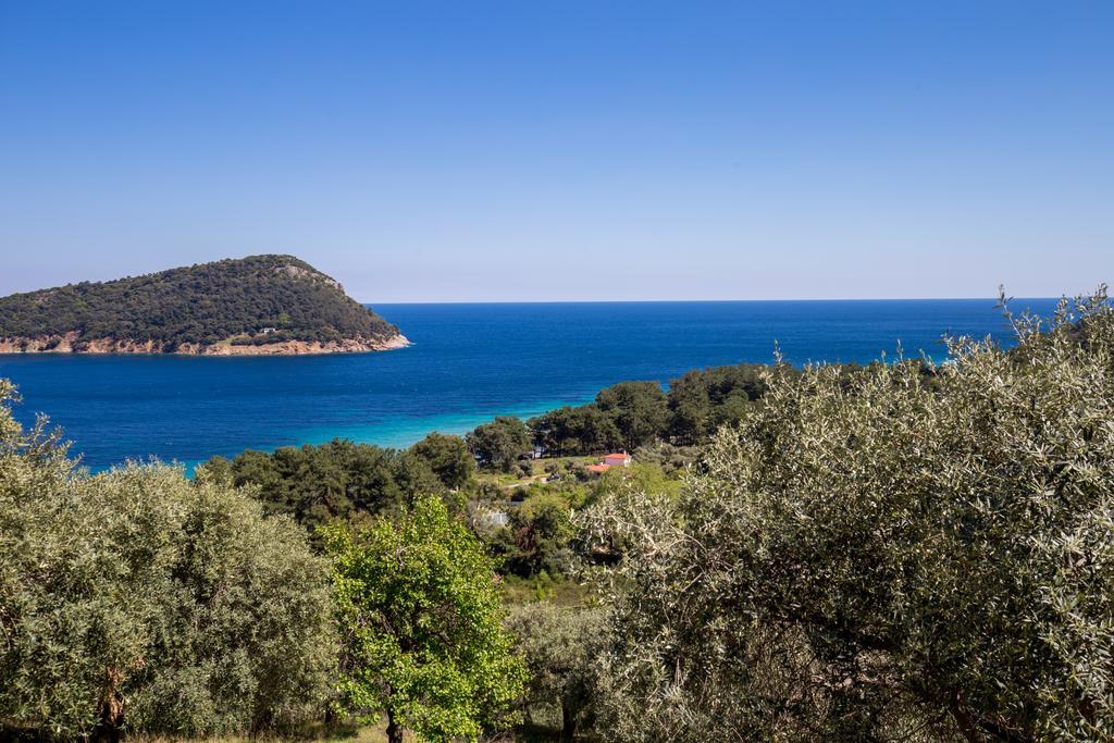 Aphrodite Holiday home *