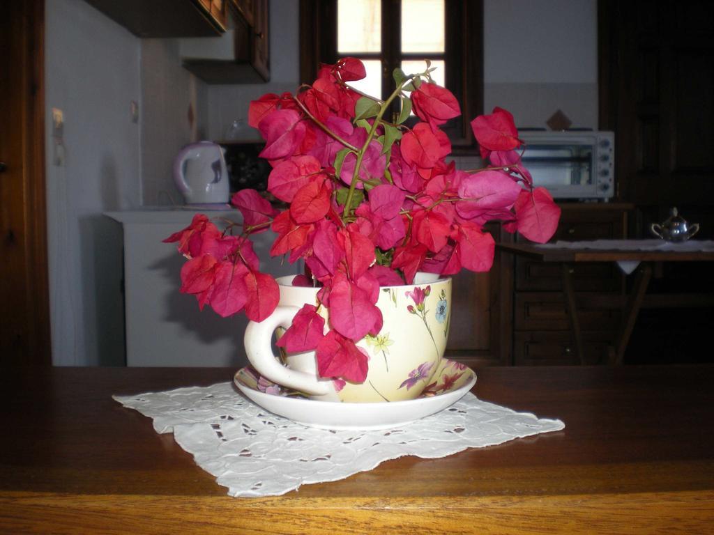 Patmos Garden Sea Apartment