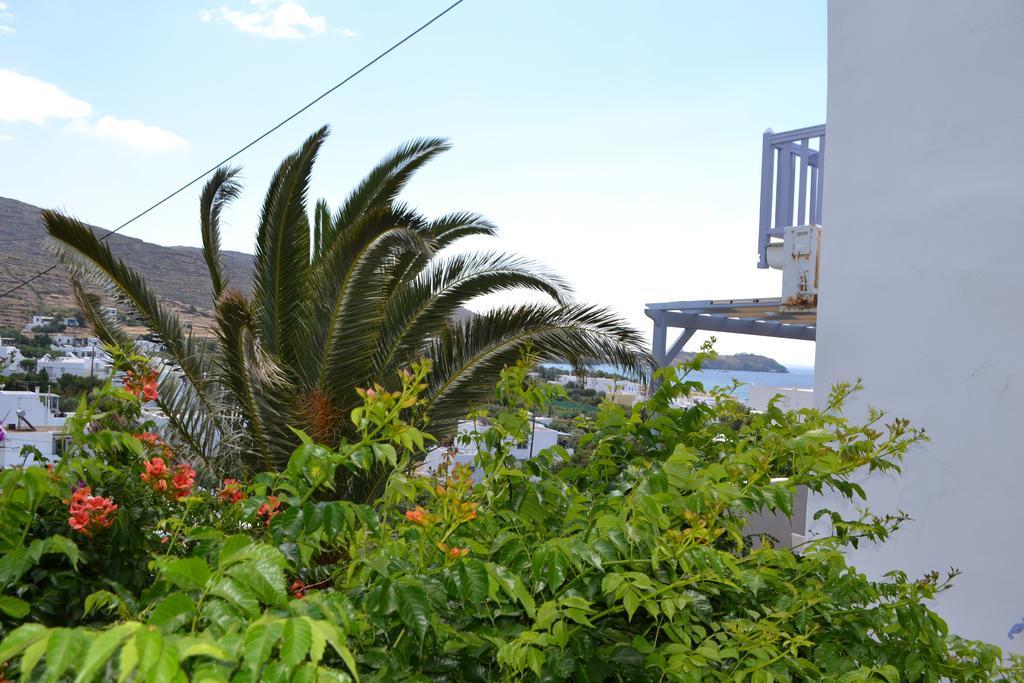 Apartment Ioanna Tinos *