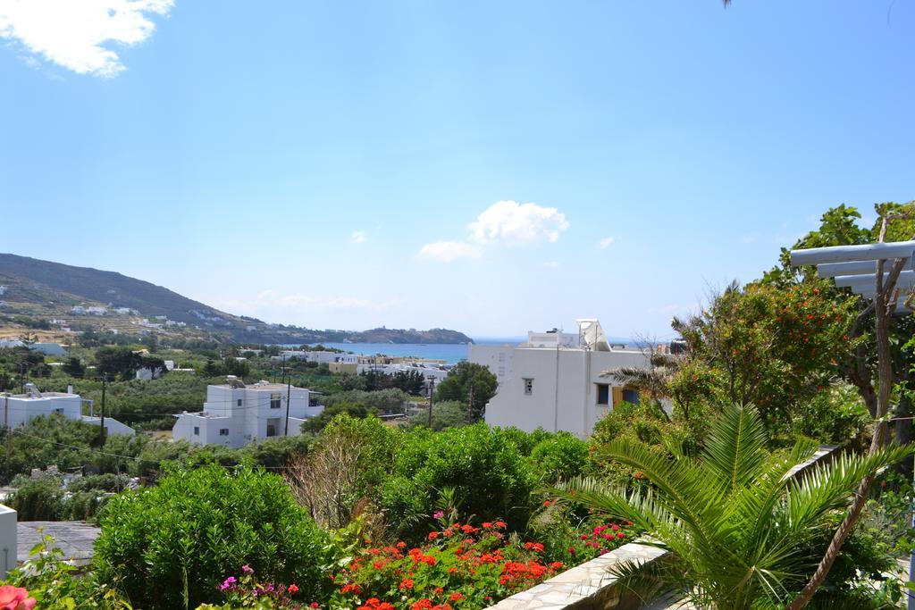 Ioanna Tinos Apartment