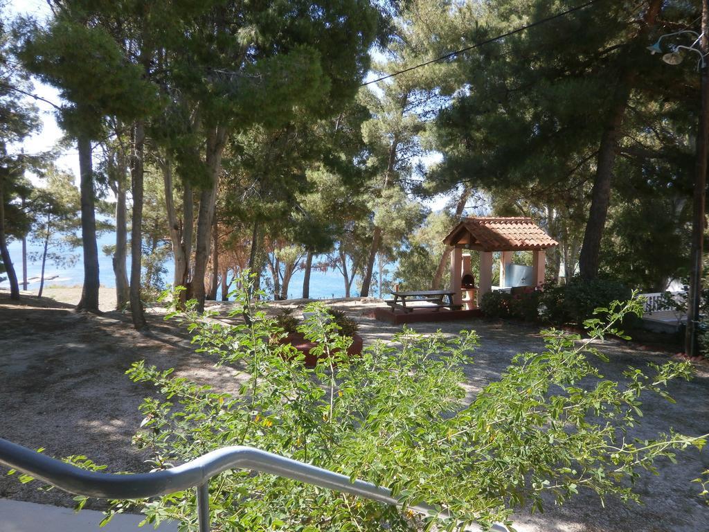 Kefallonia Bay * Spartia (Kefalonia)