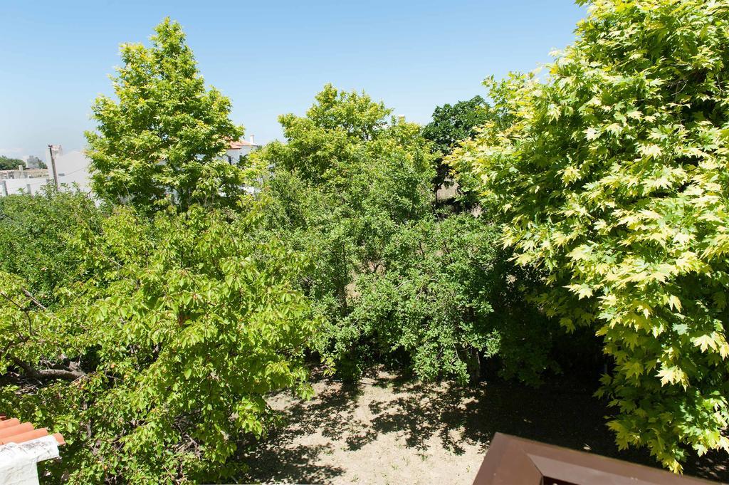 Aparthotel Saonisos Kamariotissa