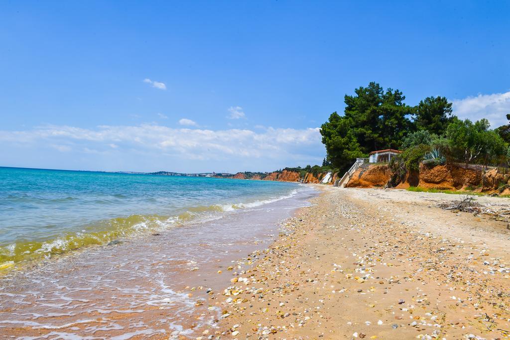 Agios Mamas * Nea Poteidaia