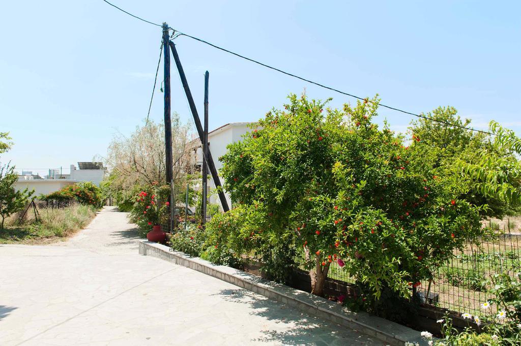 Saonisos Kamariotissa