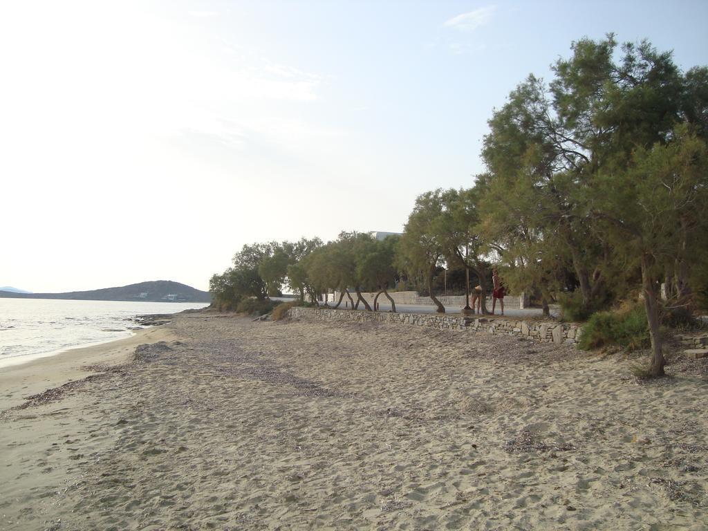 Apartment Near The Sea *