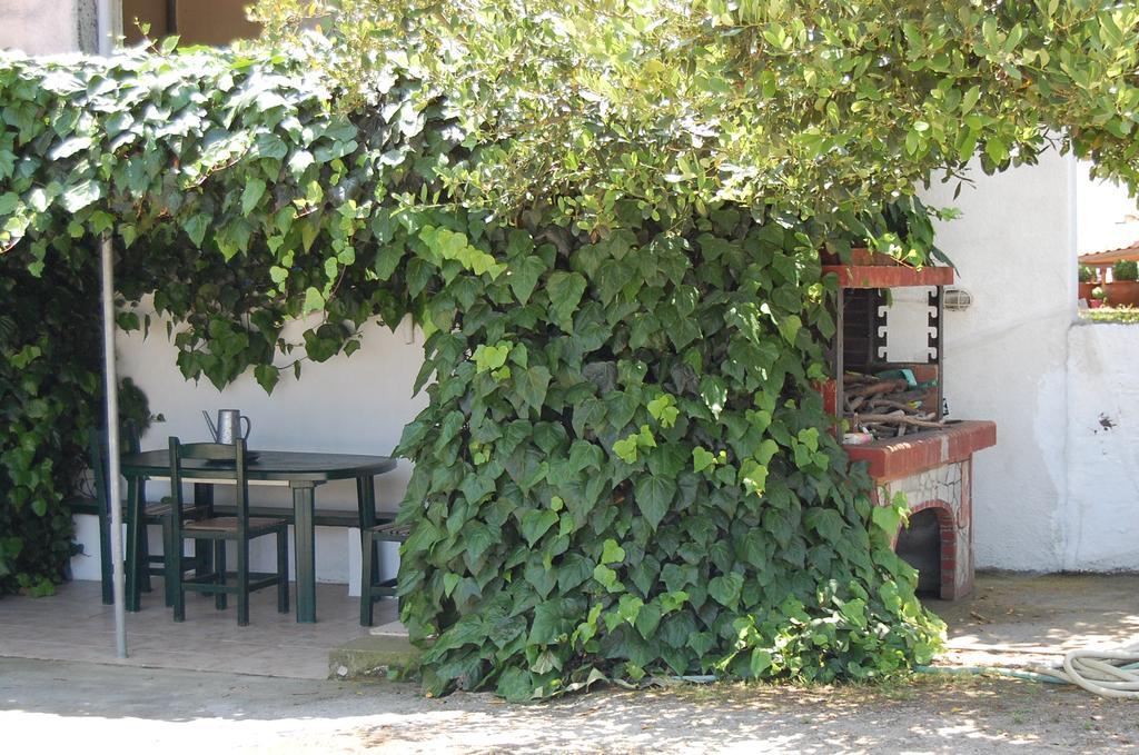 Posidi Studios Apartment Possidi