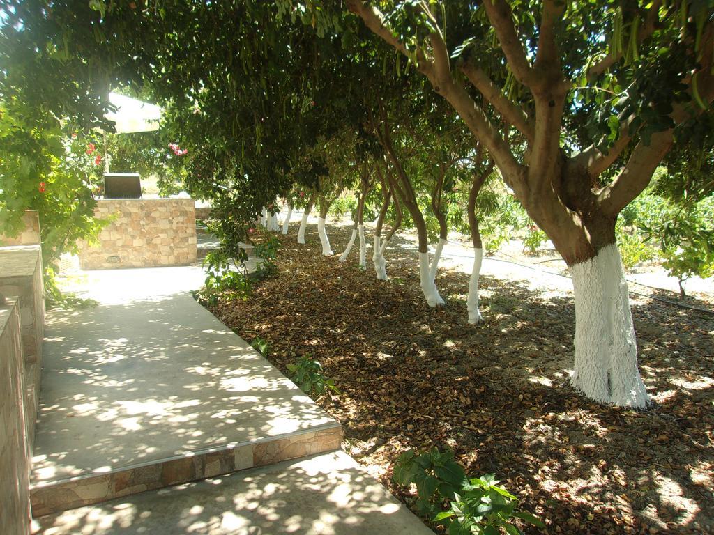 Apartment Mantelena & Family Pollonia