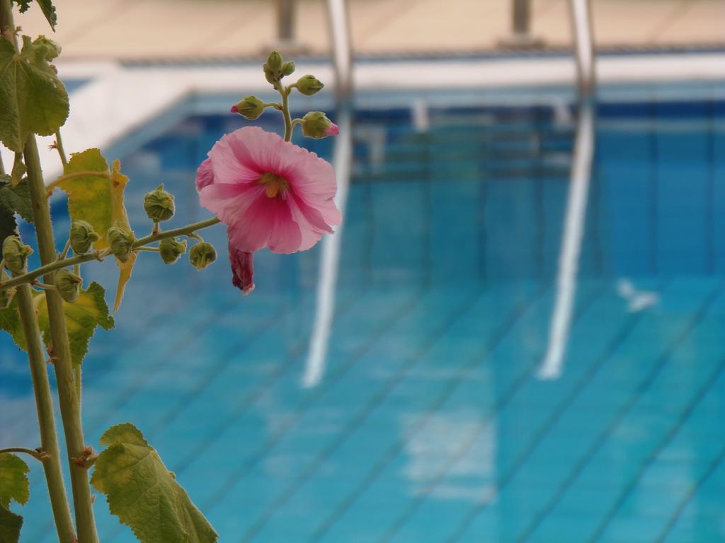 Aparthotel Emerald Hotel