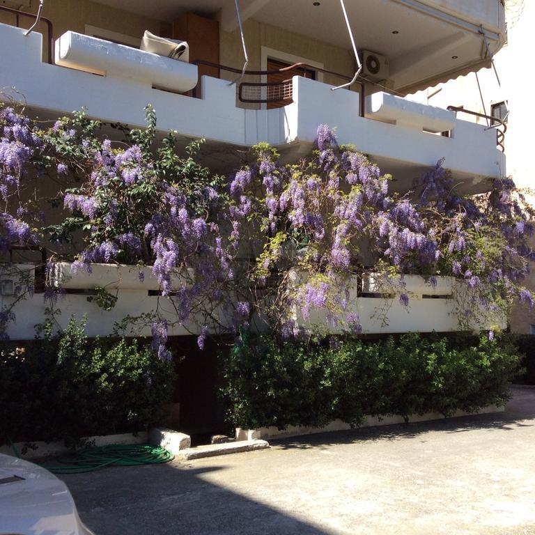 Filyra Homestay