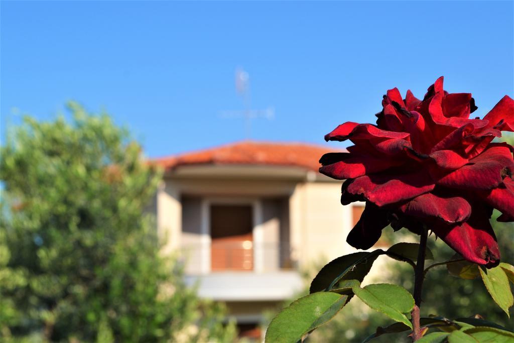 Apartment Alegra's Nikiti (Sithonia)