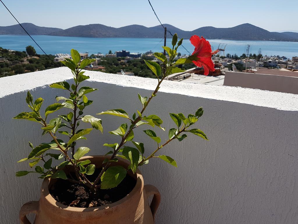 Veranda * Elounda (Crete)