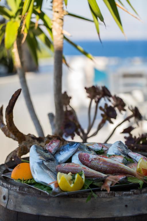 Hotel Paros Blue Dolphin Fully Renovated By Rivea Group *