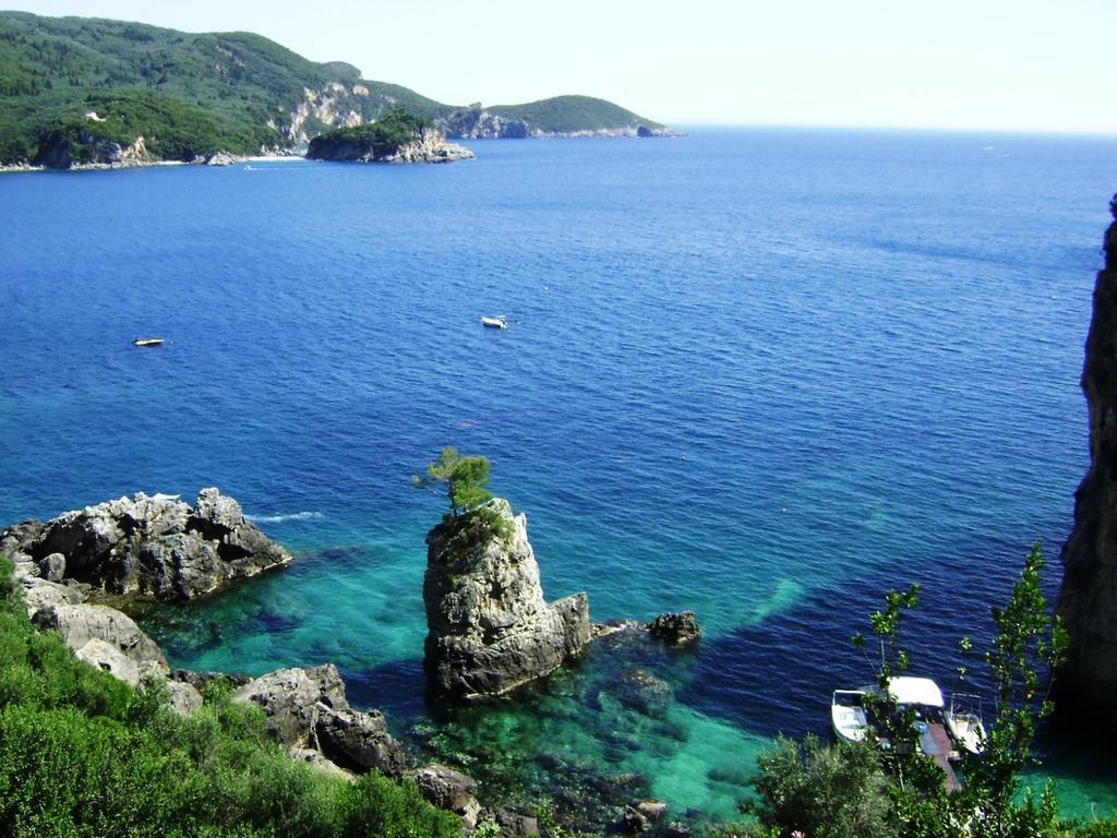 Aparthotel Anemona *