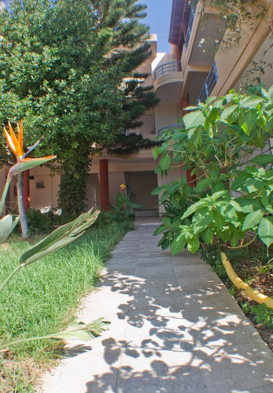 Andy's Plaza Apartment *