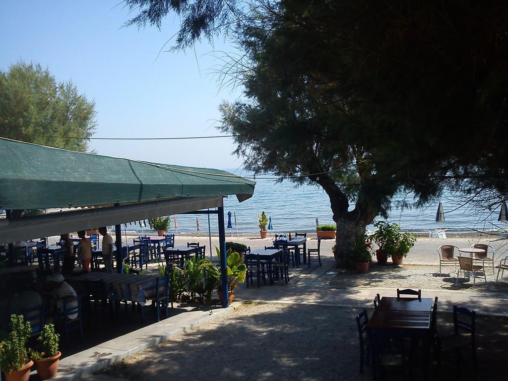 Tavari Beach Hotel Hotel 3*