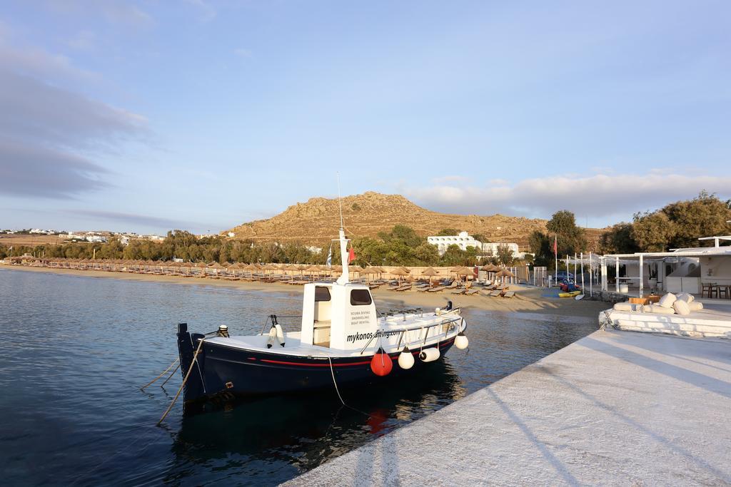 Aphrodite & Hotel
