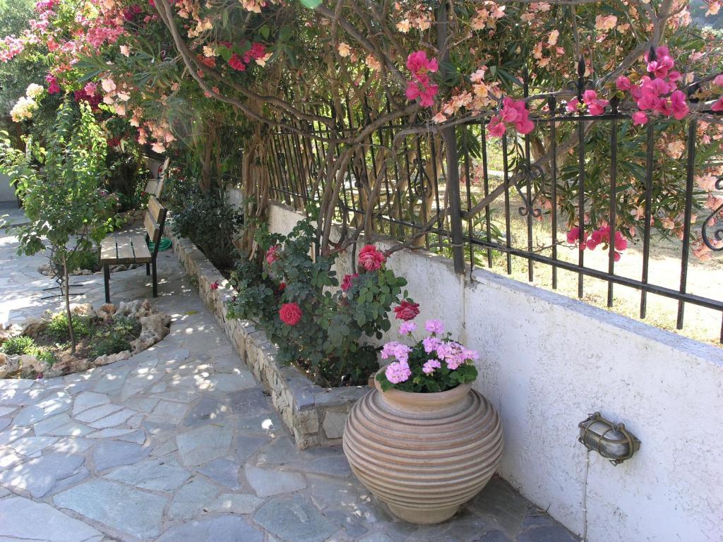Olive Tree Cottages