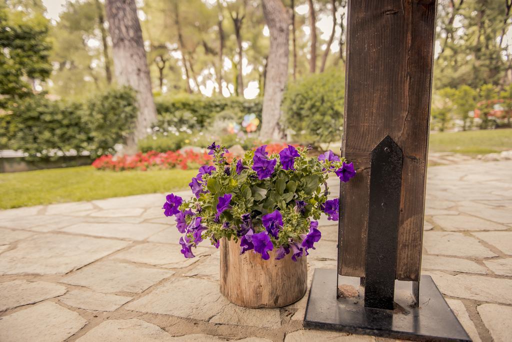 Beautiful In Sani Villa Sani (Chalkidiki)