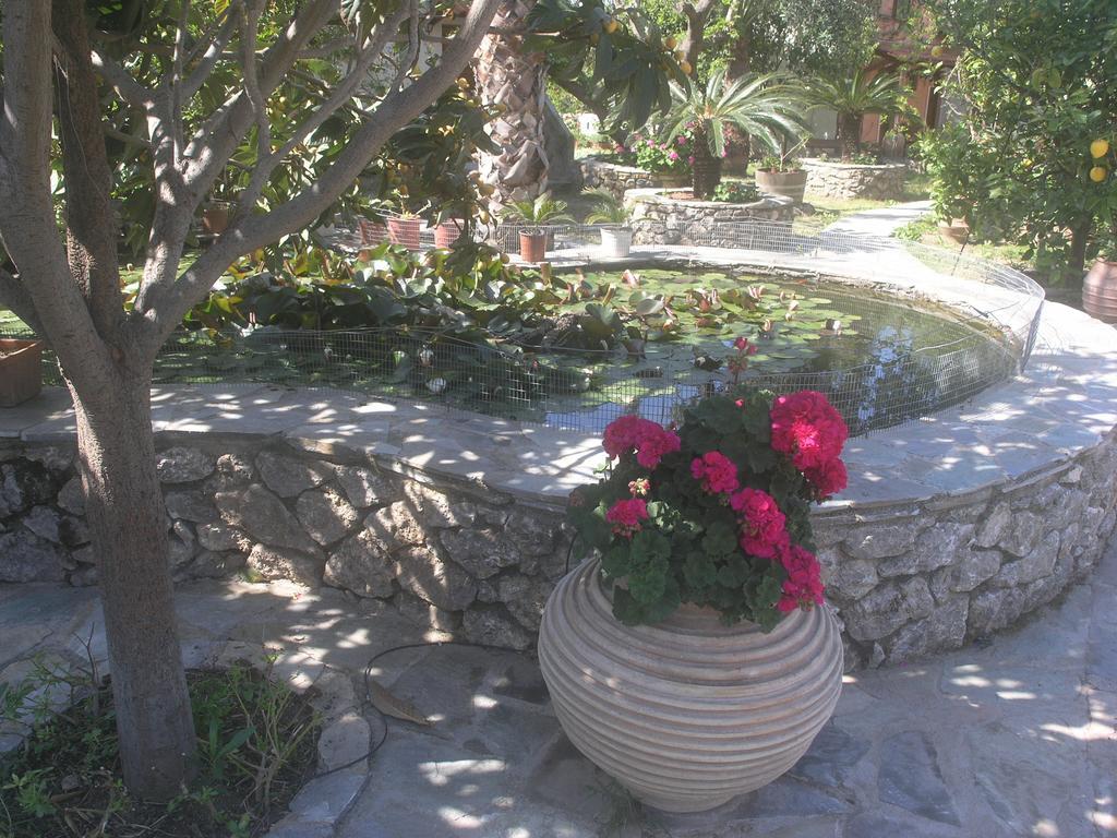 Holiday home Olive Tree Cottages Palaiochora