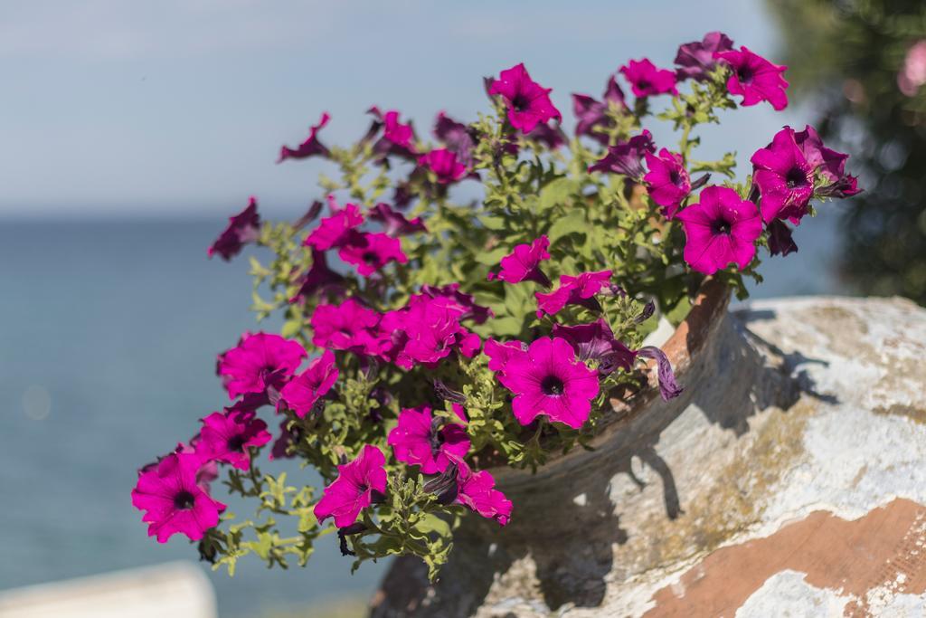 Holiday home Thalassa Luxury