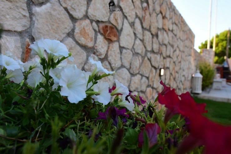 Sofelia Holiday home